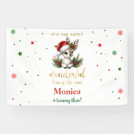 Lona El cumpleaños de los navidades más maravillosos