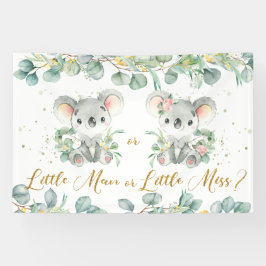 Lona El género de la vegetación de Koalas revela antece