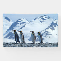 El rey Pingüinos en Georgia del Sur
