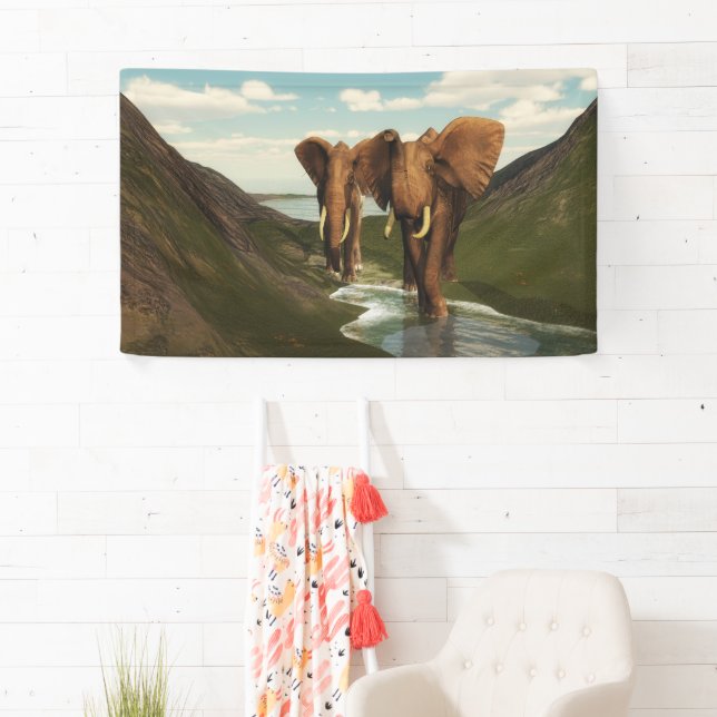 Lona Elefante (In situ)