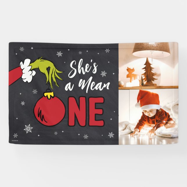 Lona Ella es una mala persona | Cumpleaños de Grinch en (Horizontal)