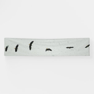 Lona Espíritu del vuelo