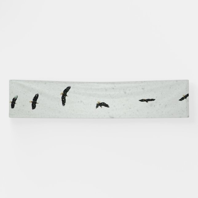 Lona Espíritu del vuelo (Horizontal)