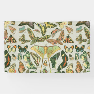 Lona Estampa de patrón de mariposa polilla vintage