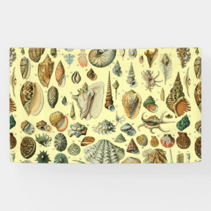 Lona Estampa vintage de conchas de Adolphe Millot Coste