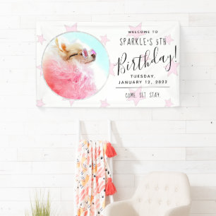 Lona Estrella mascota Foto Perro Cumpleaños Estrellas