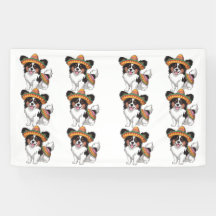 Fiesta Papillon Dog con Sombrero y Sarape