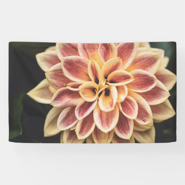 Lona Flor Dahlia de verano (arte floral) (Horizontal)