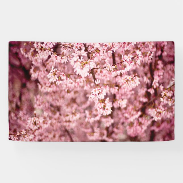 Lona Flor de cerezo de Sakura (Horizontal)