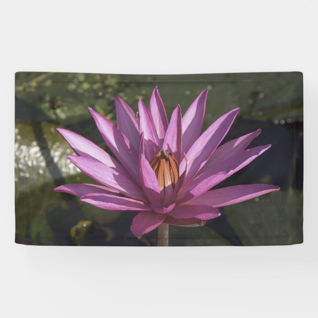 Lona Flor de Lotus (Horizontal)