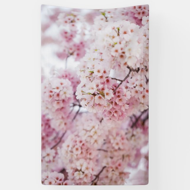Lona Flores de cerezo (Vertical)