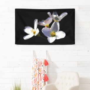 Lona Flores de pratensis cardamina bnrcnm