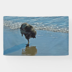 Lona Fotografía del Ballet Keeshond - Arte de Perro Ori