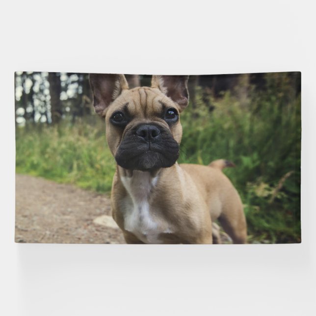 Lona French Bulldog Throw Pillow (Horizontal)