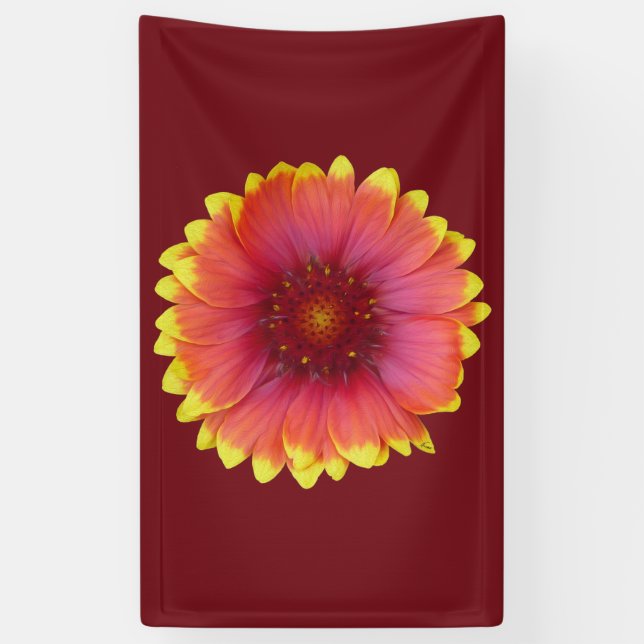 Lona Gaillardia 1 (Vertical)