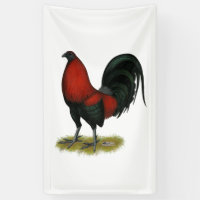 Gallo Rojo Negro de Juego Americano