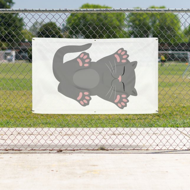 Lona Gato durmiendo (In situ)