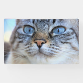 Lona Gato gris