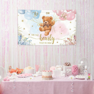 Lona Género Revelar niño o Chica Balones Rosa Azul