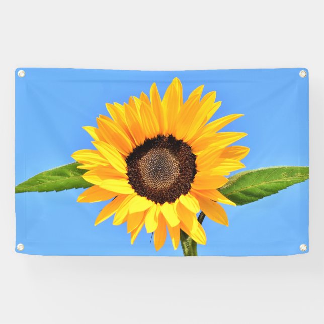 Lona Girasol amarillo contra el sol en el cielo azul -  (Horizontal)