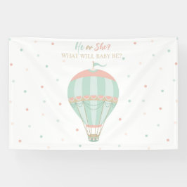 Lona Globo de aire caliente Género revelar fondo