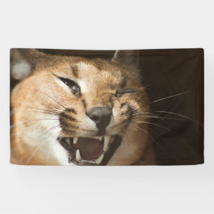 Lona Goofy Lynx