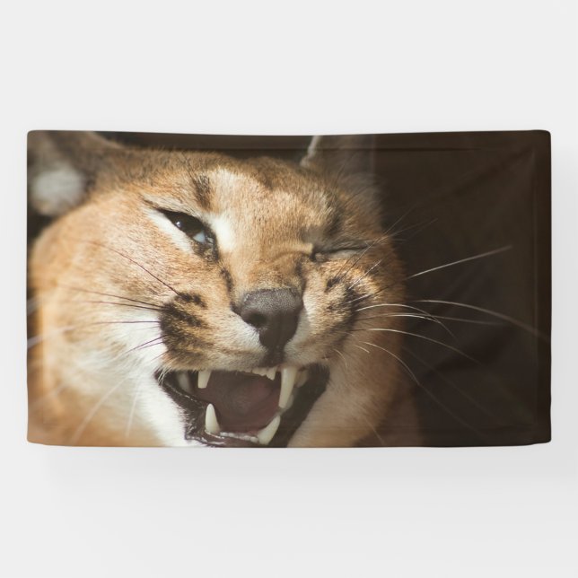 Lona Goofy Lynx (Horizontal)