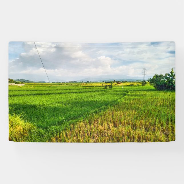 Lona Granja de campo de arroz verde Vinyl (Horizontal)