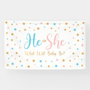 Lona He or She Stars Gender Reveal banner sign