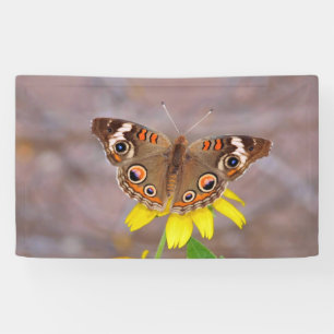 Lona Hermosa mariposa sobre la flor amarilla