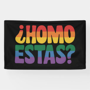 Lona Homo Estas Divertido Español Mexicano Aliado Gay L