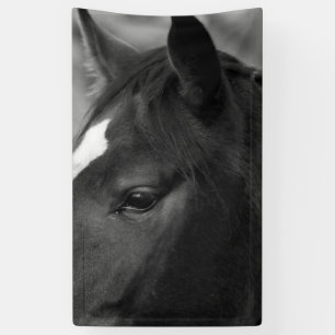Lona Horse bnrcn