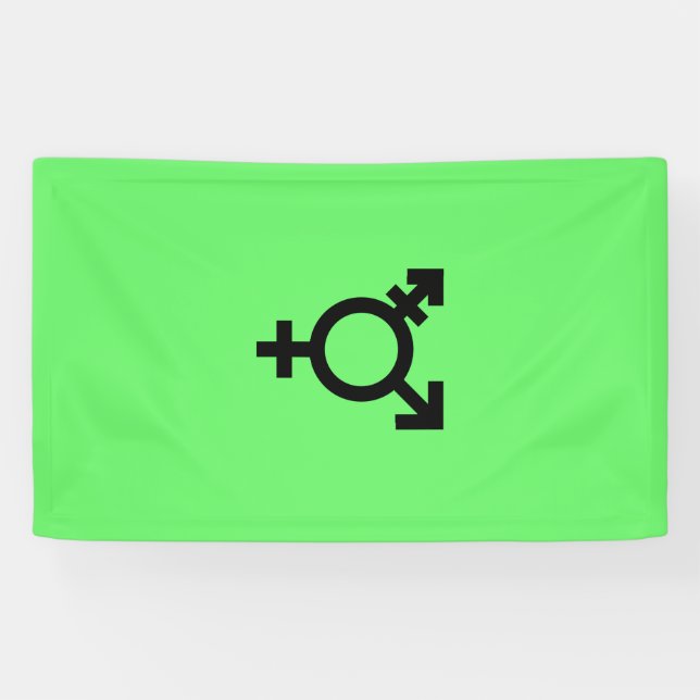 Lona Israeli Transgender Pride Flag  (Horizontal)