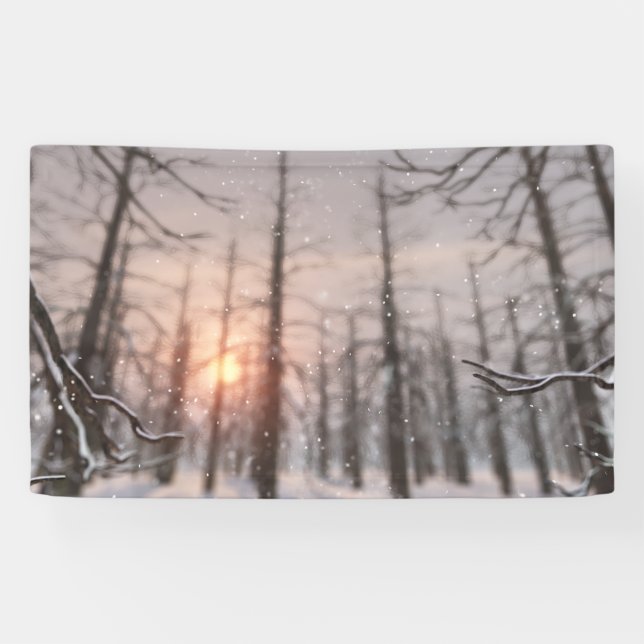 Lona La bandera ideal de una noche del invierno (Horizontal)