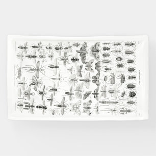 Lona La entomología blanca y negra oculta los errores