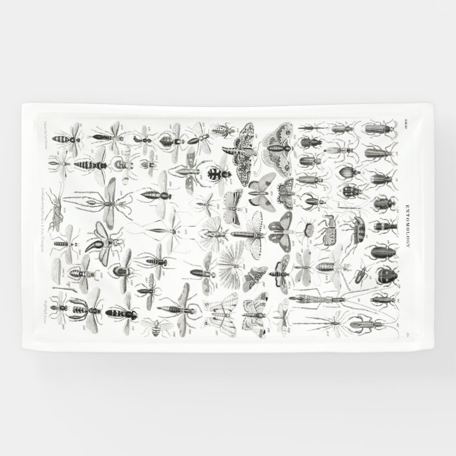 Lona La entomología blanca y negra oculta los errores (Horizontal)