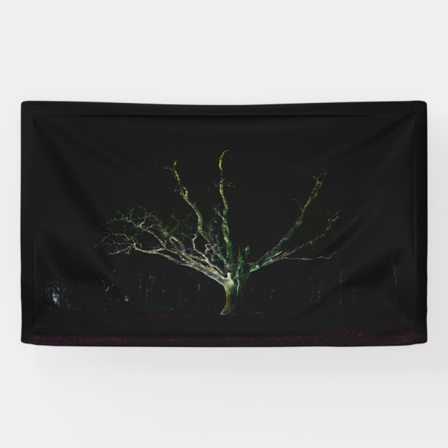 Lona Lado oscuro 1 bnrcnm (Horizontal)