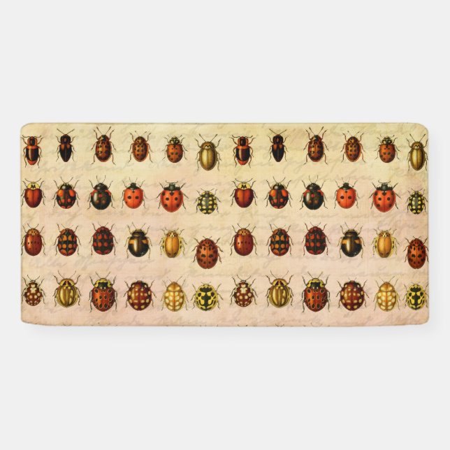 Lona Ladybug Ladybird Beetle Insect Bug (Horizontal)
