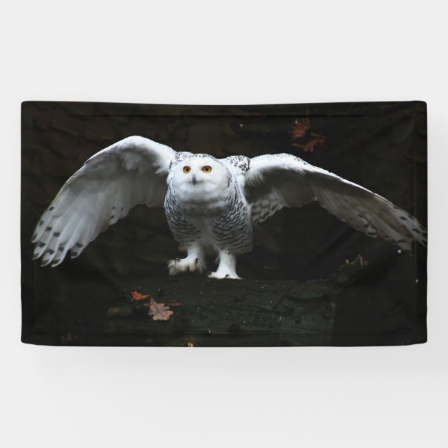 Lona Lechuza nevada con alas abiertas bnrcnm (Horizontal)