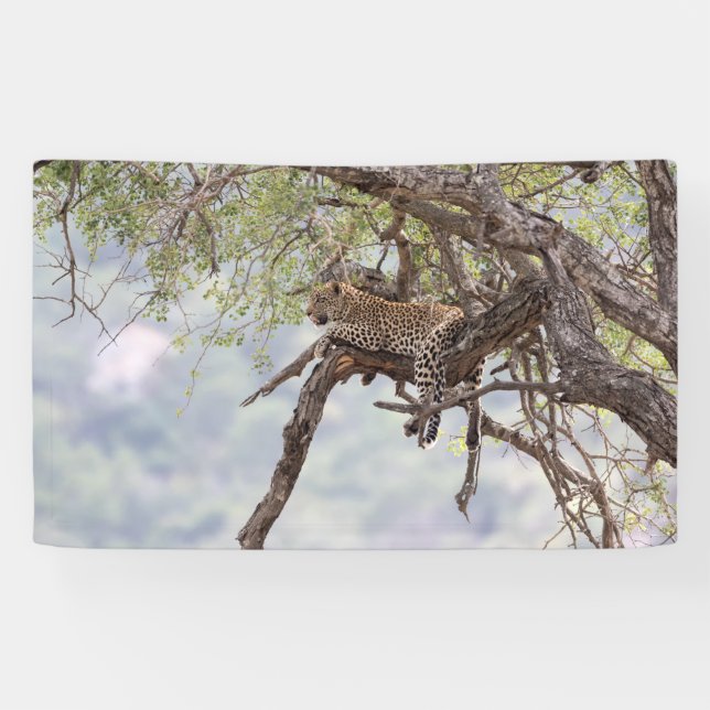 Lona Leopardo en un árbol (Horizontal)
