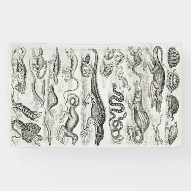 Lona Ligadores de reptiles negros y blancos (Horizontal)