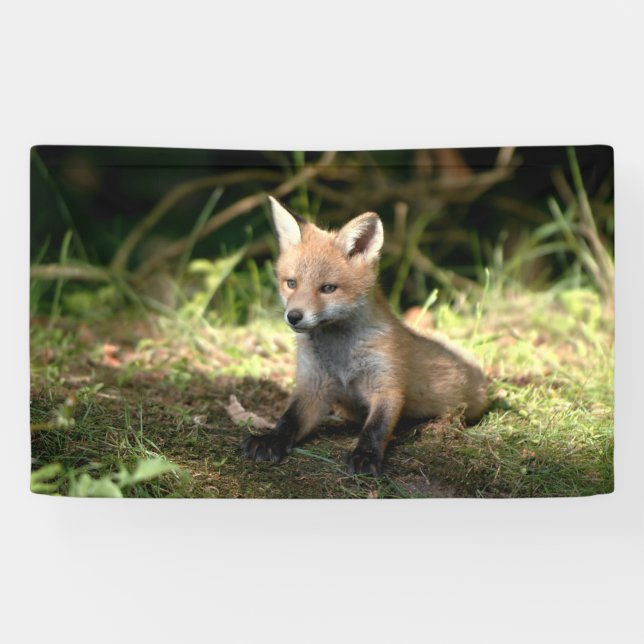Lona Little Cub Red Fox (Horizontal)