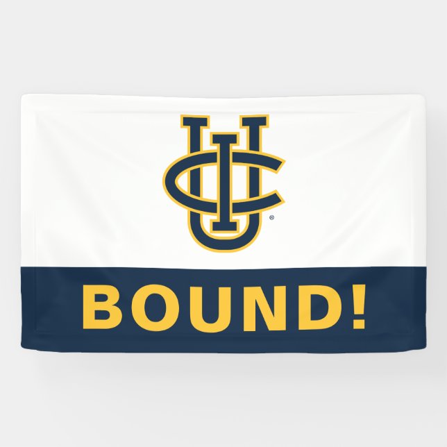 Lona Logo de Irvine University of California (Horizontal)