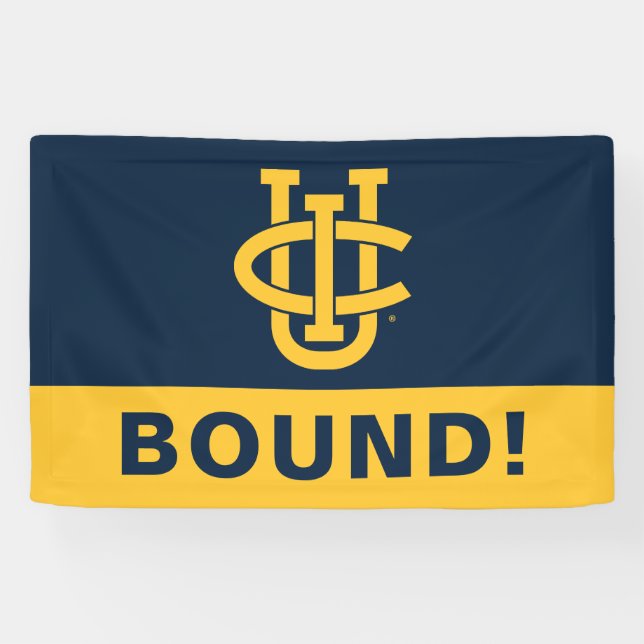 Lona Logo de Irvine University of California (Horizontal)