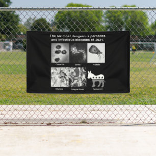 Lona Los 6 parásitos e infecciosos más peligrosos de 