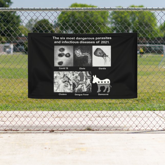 Lona Los 6 parásitos e infecciosos más peligrosos de 20 (In situ)