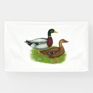 Lona Mallard Drake y Duck