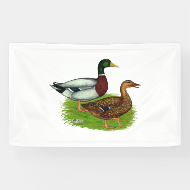Lona Mallard Drake y Duck (Horizontal)