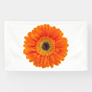 Lona Margarita anaranjada del Gerbera