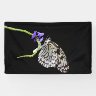 Lona Mariposa